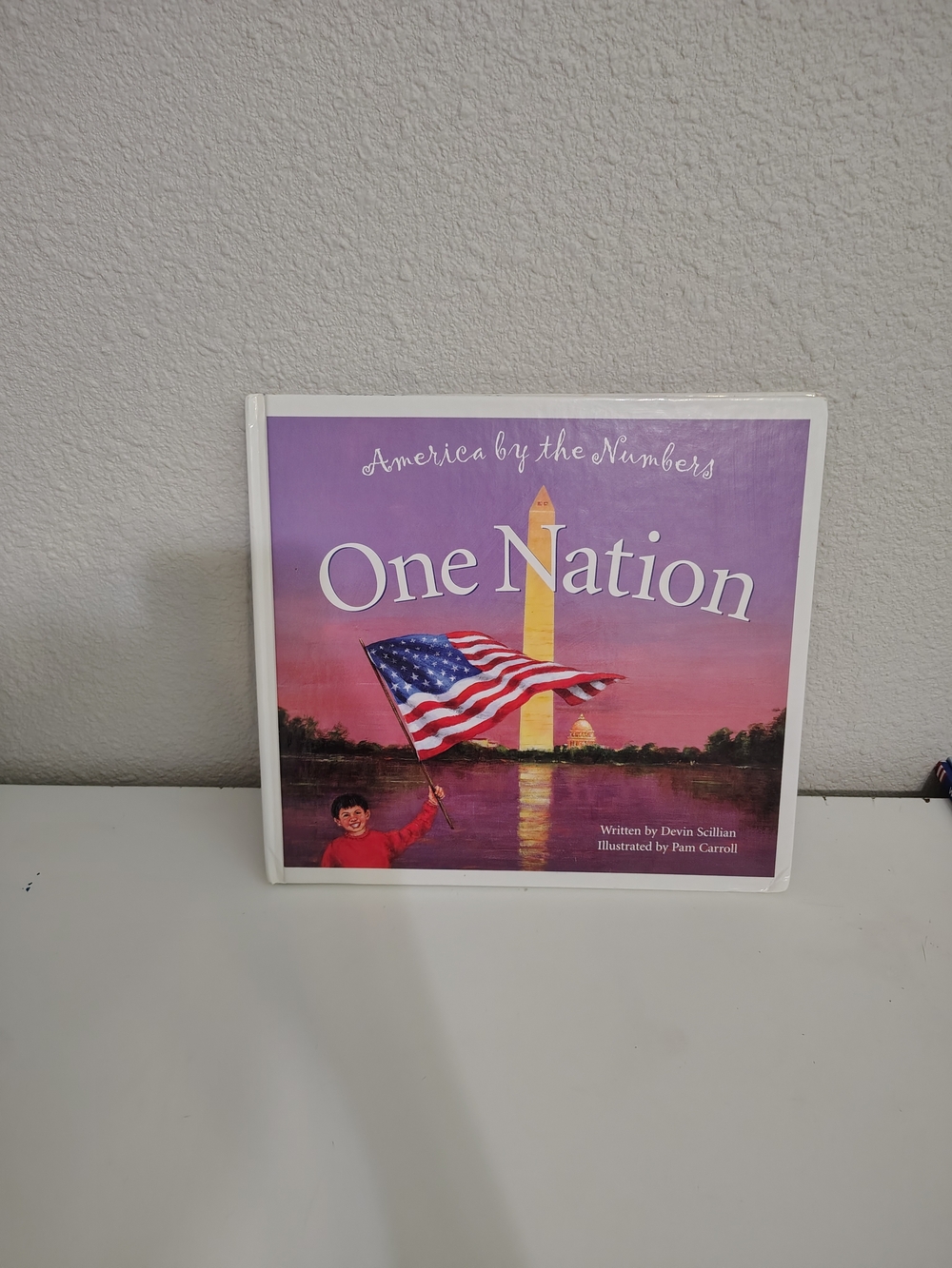 America by the Numbers One Nation Children's Book Hardcover America USA
